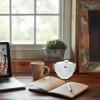 1 Set Tea Set Ceramic Tea Kettle Adorable Tea Kettle Cat Teapot Multi-function Tea Kettle Home Accessory Tea Accessory Household Tea Kettle Office Accessory view 2