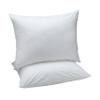 Amazon Basics Down Alternative Bed Pillows and Pillow Protector Case 2-Piece Set, Medium Density, Standard - Pack of 2, White, 26"L x 20"W view 1