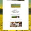 SM Ent. Super Junior - The Road : Winter for Spring [C ver.] (Special Single) Album+CultureKorean Gift(Decorative Stickers,Photocards) view 3