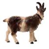 Kostner Nativity Scene 12 cm, Horned Goat with Bell Looking to The Left in Painted Wood view 4