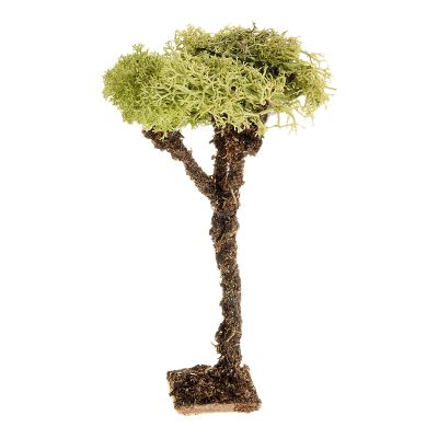 Holyart Moss, Trees, Palm Trees, Floorings: Nativity Accessory, Tree with Lichen 10cm