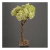 Holyart Moss, Trees, Palm Trees, Floorings: Nativity Accessory, Tree with Lichen 10cm view 2