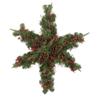 32" Pre-Lit Artificial Mixed Pine and Berries Christmas Snowflake Wreath view 1