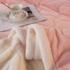 BAILR Warm Blanket for All Season 7185inch, Blankets Soft and Cozy Full, Blanket Machine Washable - for Sofa/Couch/Bed (L 180215cm) view 3