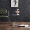 Artmaze Clear Acrylic End Table,Side Table,Brushed Silver Metal,Round,for Office, Living Room and Bedroom,Easy Assembly,12x12 inch21.3 inch high view 3