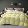 1 PC Only Bedding Comforter, 100% Soft Egyptian Cotton All Season Down Alternative Stylish Look Super King -Ivory Pinch Pleated Buffy Quilted 500 GSM Fill Power Winter Warmth Single Quilt view 2