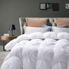 1 PC Only Bedding Comforter, 100% Soft Egyptian Cotton All Season Down Alternative Stylish Look Super King -White Pinch Pleated Buffy Quilted 500 GSM Fill Power Winter Warmth Single Quilt view 2