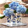 Vase Pearlfection 3 Event Pack Transparent Water Gels Kits - Fills 15 Gallons for The Floating Effect - with Measured Floating Gels Prep Bags for Best Results view 4