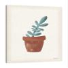 Jaxson Rea "Greenhouse V Gallery Wrapped Canvas by Becky Thorns, 24" x 30" view 1