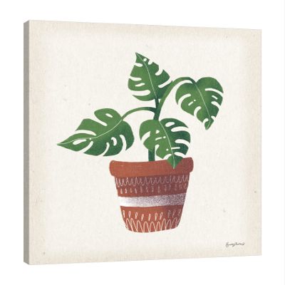 Jaxson Rea "Greenhouse III Gallery Wrapped Canvas by Becky Thorns, 24" x 30"