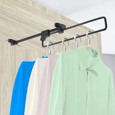 Adjustable Pull Out Clothes Rails, Wardrobe Extender for Clothes, Scarves, Ties and Pants, Non-Slip, Durable, Space Saving Wardrobe Storage Rack (Size: 50.5cm/19.8in) (Size : 31cm/12.2in)