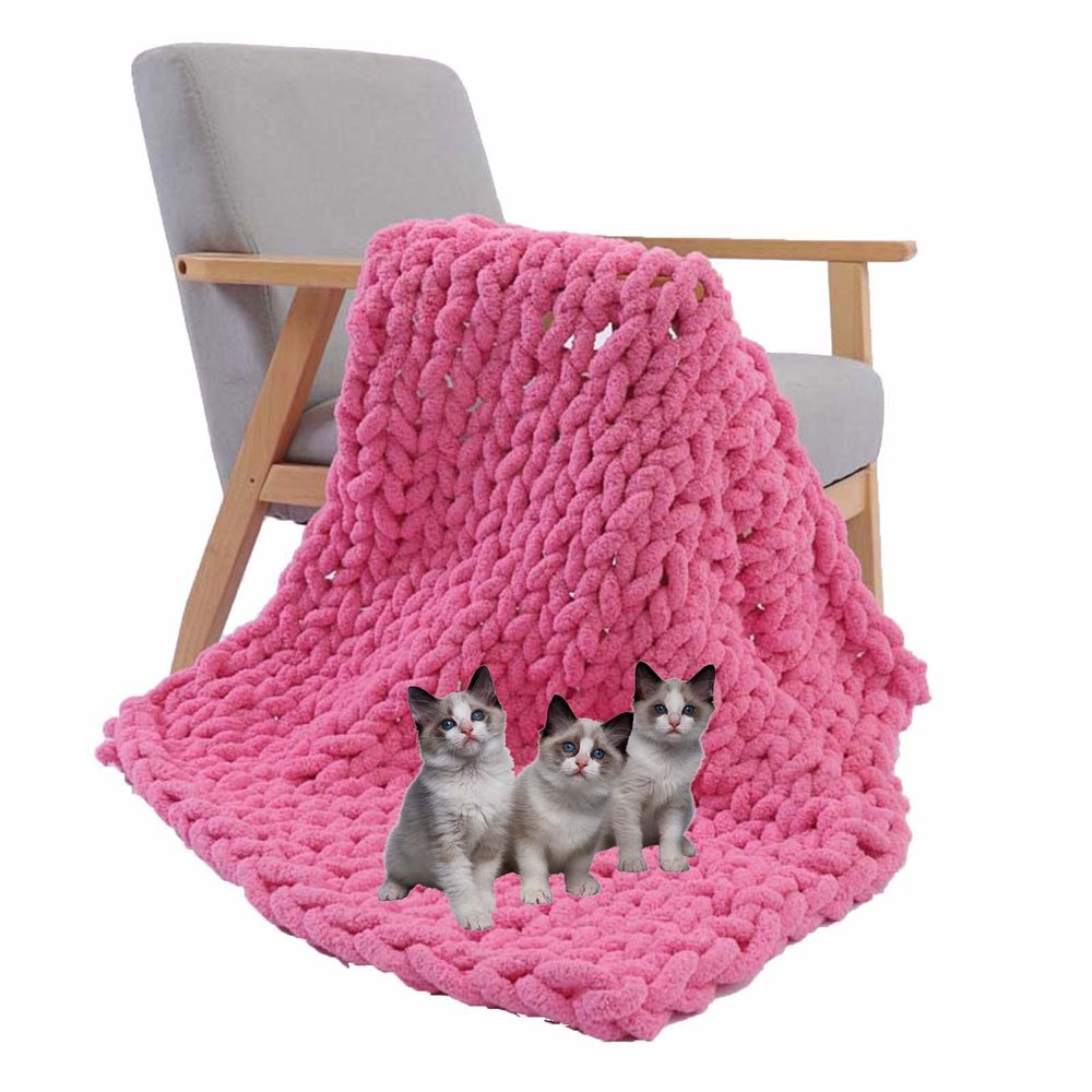 BAILR Chenille Chunky Knit Throw Blanket 3979inch, Large Soft Knit Throw Blanket Throw for Warmth, Perfect for Bed, Couch, Sofa, Chair and Snuggles (B 100200cm)
