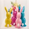 Easter Bunny Wreath Decorations with Blue, Yellow, Pink and Purple Bunnies, Spring Floral branches on Grapevine Wreath for Kitchen Cabinets and Dining Chairs - Set of 4 view 2