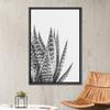 SIGNWIN Framed Canvas Print Wall Art Close Up Black White Tropical Snake Plant Nature Wilderness Photography Modern Art Southwest Floral Rustic for Living Room, Bedroom, Office - 16"x24" Black view 2