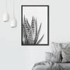 SIGNWIN Framed Canvas Print Wall Art Close Up Black White Tropical Snake Plant Nature Wilderness Photography Modern Art Southwest Floral Rustic for Living Room, Bedroom, Office - 16"x24" Black view 3