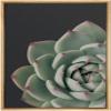 SIGNWIN Framed Canvas Print Wall Art Close Up Red Green Rose Petal Cactus Succulent Nature Wilderness Photography Modern Art Southwest Floral for Living Room, Bedroom, Office - 16"x24" Natural view 1
