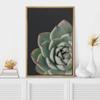 SIGNWIN Framed Canvas Print Wall Art Close Up Red Green Rose Petal Cactus Succulent Nature Wilderness Photography Modern Art Southwest Floral for Living Room, Bedroom, Office - 16"x24" Natural view 2
