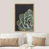 SIGNWIN Framed Canvas Print Wall Art Close Up Red Green Rose Petal Cactus Succulent Nature Wilderness Photography Modern Art Southwest Floral for Living Room, Bedroom, Office - 16"x24" Natural view 3