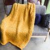 BAILR Chunky Knitted Throw Blanket 3979inch, Cozy Chunky Blankets, Large Throw Bed Blanket for Couch, Sofa, Home Decor, Gift - Machine Washable (H 100200cm) view 1