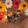 Frienemy Presents Indian Diwali Oil Lamp Pooja Diya Brass Light Puja Decorations Mandir Decoration Items Handmade Table Home Backdrop Decor Lamps Made in Decorative #Frienemy-655 view 4