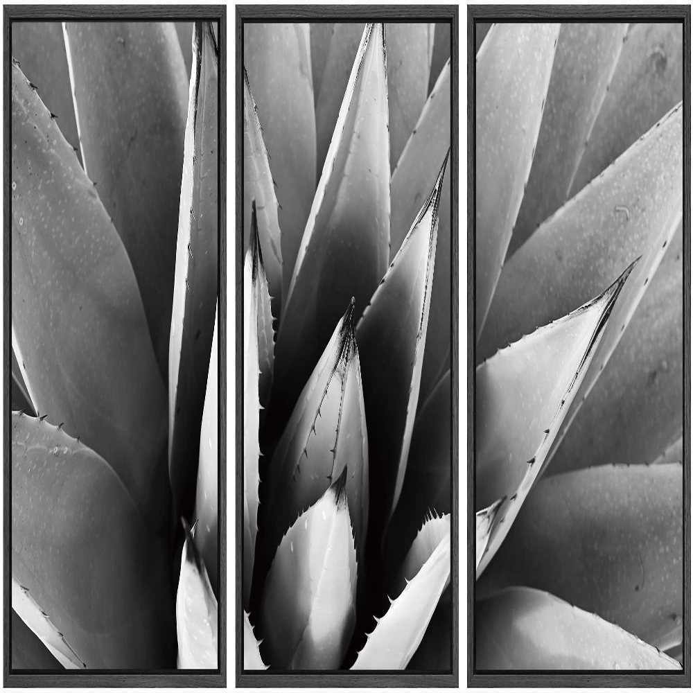 SIGNWIN Framed Canvas Wall Art Agave Plant Petal Botanical Succulent Photography Minimalism Contemporary Closeup Dramatic Black and White for Living Room, Bedroom, Office - 16"x24"x3 Black