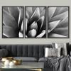 SIGNWIN Framed Canvas Wall Art Agave Plant Petal Botanical Succulent Photography Minimalism Contemporary Closeup Dramatic Black and White for Living Room, Bedroom, Office - 16"x24"x3 Black view 2