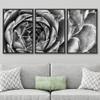 SIGNWIN Framed Canvas Wall Art Houseleek Petal Pattern Botanical Succulent Photography Minimalism Contemporary Closeup Dramatic Black and White for Living Room, Bedroom, Office - 16"x24"x3 Black view 3