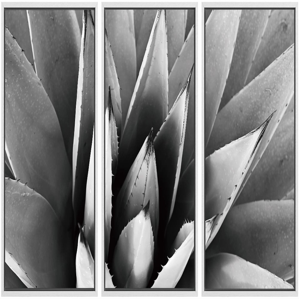 SIGNWIN Framed Canvas Wall Art Agave Plant Petal Botanical Succulent Photography Minimalism Contemporary Closeup Dramatic Black and White for Living Room, Bedroom, Office - 16"x24"x3 White