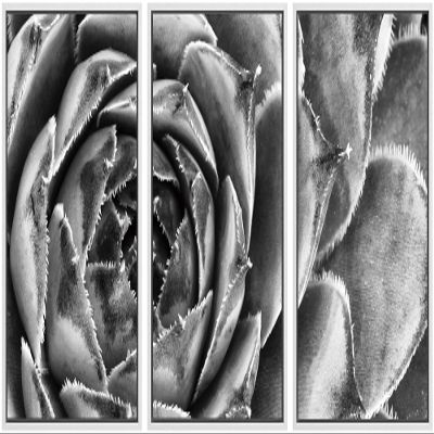 SIGNWIN Framed Canvas Wall Art Houseleek Petal Pattern Botanical Succulent Photography Minimalism Contemporary Closeup Dramatic Black and White for Living Room, Bedroom, Office - 16"x24"x3 White