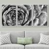 SIGNWIN Framed Canvas Wall Art Houseleek Petal Pattern Botanical Succulent Photography Minimalism Contemporary Closeup Dramatic Black and White for Living Room, Bedroom, Office - 16"x24"x3 White view 2