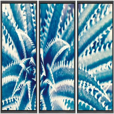 SIGNWIN Framed Canvas Wall Art Sharp Pointed Agave Plant Leaves Botanical Succulent Photography Minimalism Contemporary Closeup Dramatic for Living Room, Bedroom, Office - 16"x24"x3 Black