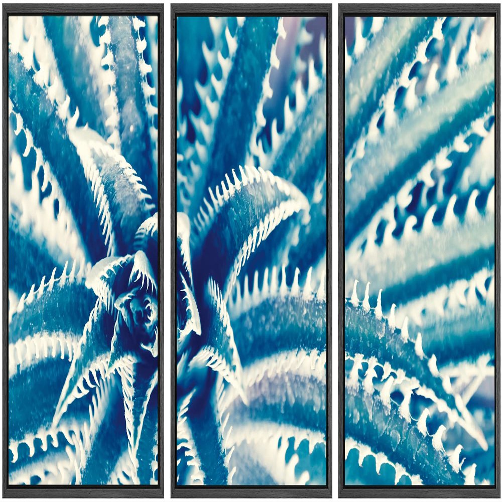 SIGNWIN Framed Canvas Wall Art Sharp Pointed Agave Plant Leaves Botanical Succulent Photography Minimalism Contemporary Closeup Dramatic for Living Room, Bedroom, Office - 16"x24"x3 Black
