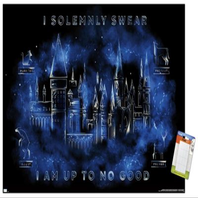 Trends International Harry Potter - Hogwarts Castle Magic Wall Poster, 14.725" x 22.375", Premium Poster & Mount Bundle