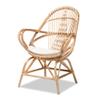 bali & pari Jayden Modern Bohemian Natural Rattan 5-Piece Living Room Set view 4