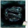 Trends International Harry Potter - Slytherin Crest Magic Wall Poster, 14.725" x 22.375", Premium Poster & Mount Bundle view 1