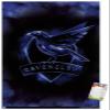 Trends International Harry Potter - Ravenclaw Crest Magic Wall Poster, 14.725" x 22.375", Premium Poster & Mount Bundle view 1
