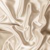 TREELY 2 Pack Satin Pillow Covers 20x60 Inches, Beige view 4