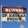 Abipuir Room Banner Beware of Havana Brown Flag Teen Girl Gifts (Size : 120X180CM) view 2