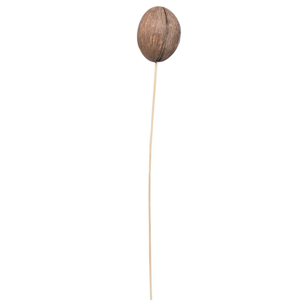 Vickerman 679067-20" Mintola Ball on Stem 25/pk (H7MIB000) Dried and Preserved Pods