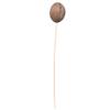 Vickerman 679067-20" Mintola Ball on Stem 25/pk (H7MIB000) Dried and Preserved Pods view 1