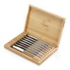 Cangshan 1027044 Rain II Series 8-Piece 420 Stainless Steel Forged Steak Knife Set in Bamboo Storage Chest view 1