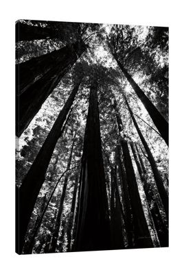 Jaxson Rea "The Stand BW Gallery Wrapped Canvas by Debra Van Swearingen, 12" x 18"