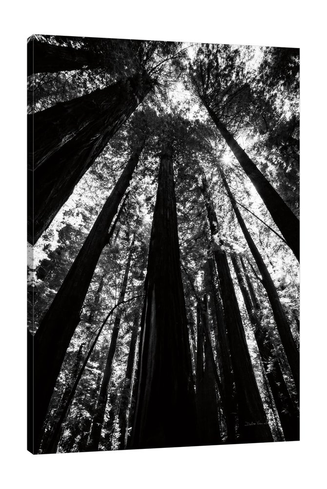 Jaxson Rea "The Stand BW Gallery Wrapped Canvas by Debra Van Swearingen, 12" x 18"