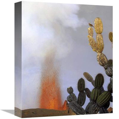 12 x 18 in. Galapagos Mockingbird ATOP Giant Candelabra Cactus Near Eruption, Galapagos Art Print - Tui De Roy