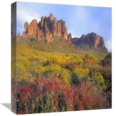 12 x 16 in. Chuparosa & Brittlebush Superstition Mountains, Arizona Art Print - Tim Fitzharris