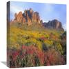 12 x 16 in. Chuparosa & Brittlebush Superstition Mountains, Arizona Art Print - Tim Fitzharris view 1
