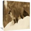 12 x 18 in. Red Fox Standing at The Top of A Snow Bank, Montana - Sepia Art Print - Tim Fitzharris view 1