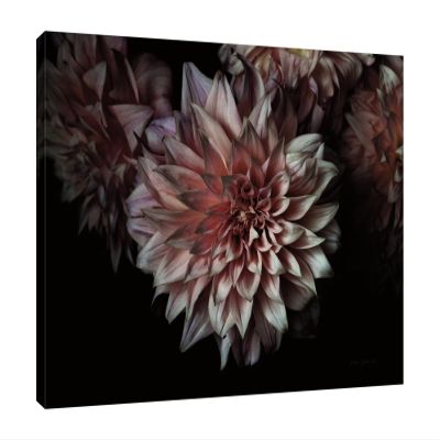 Jaxson Rea "Peach Dahlias Gallery Wrapped Canvas by Elise Catterall, 32" x 24"