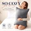 Basic Beyond Queen Size Pillows for Sleeping - Soft Down Alternative Pillows Luxury Hotel Collection Bed Pillows Queen Size Set of 2,Grey,20x28 Inches view 2