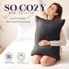 Basic Beyond Queen Size Pillows for Sleeping - Soft Down Alternative Pillows Luxury Hotel Collection Bed Pillows Queen Size Set of 2,Black,20x28 Inches view 2
